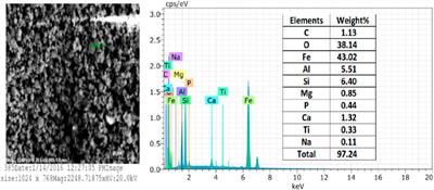 Emerging trends in the recovery of ferrospheres and plerospheres from coal fly ash waste and their emerging applications in environmental cleanup